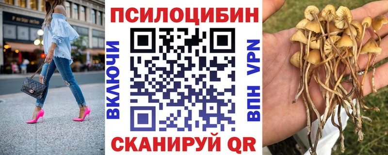 Купить где  Заводоуковск  Галлюциногенные грибы мицелий 